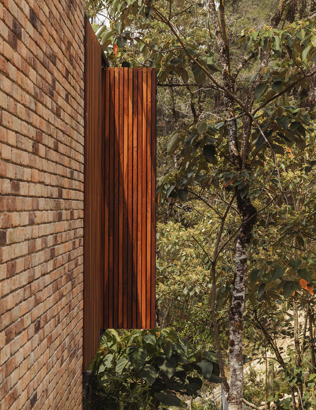 CASA C+N CASA C+N
