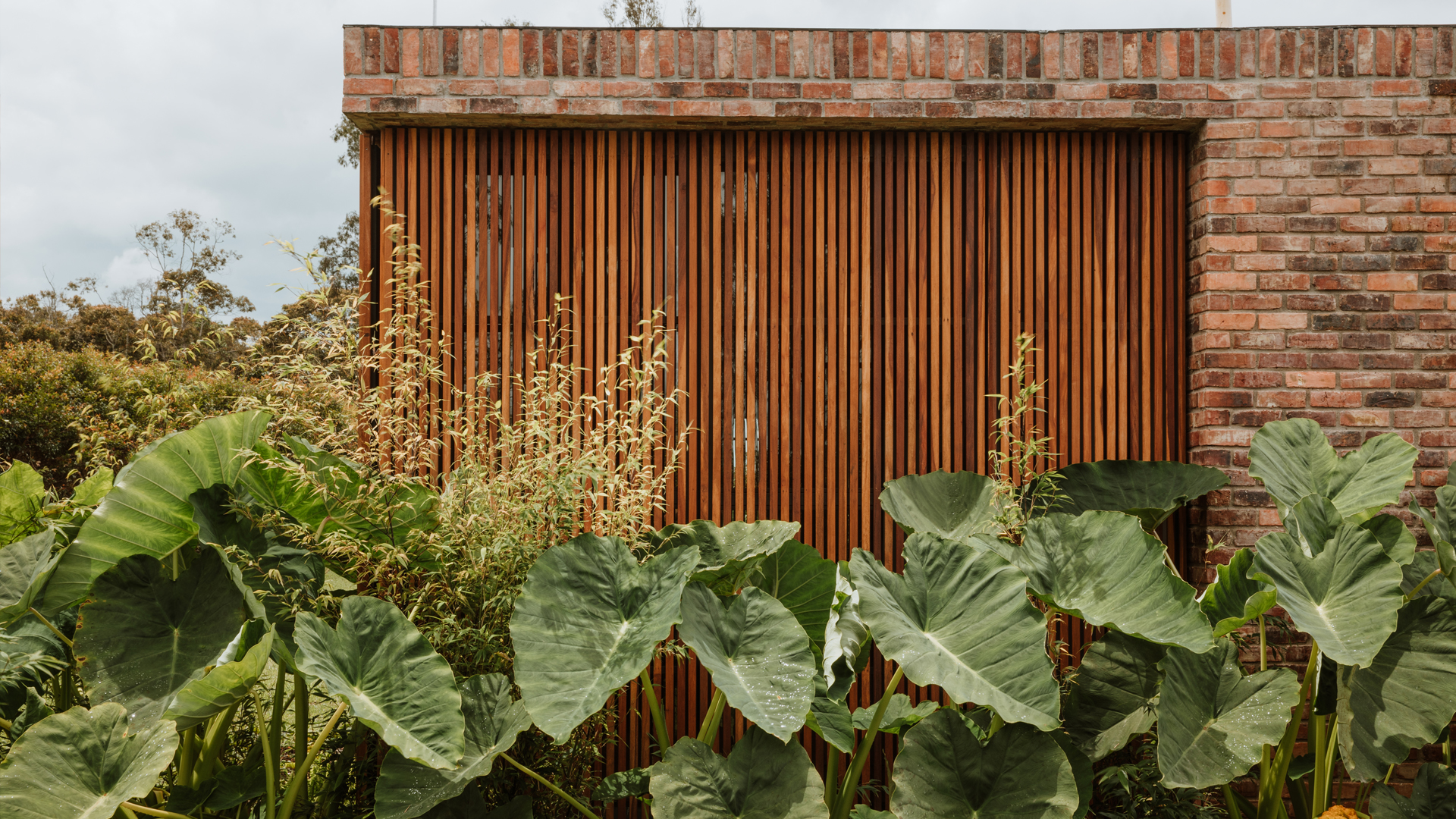 CASA L+M