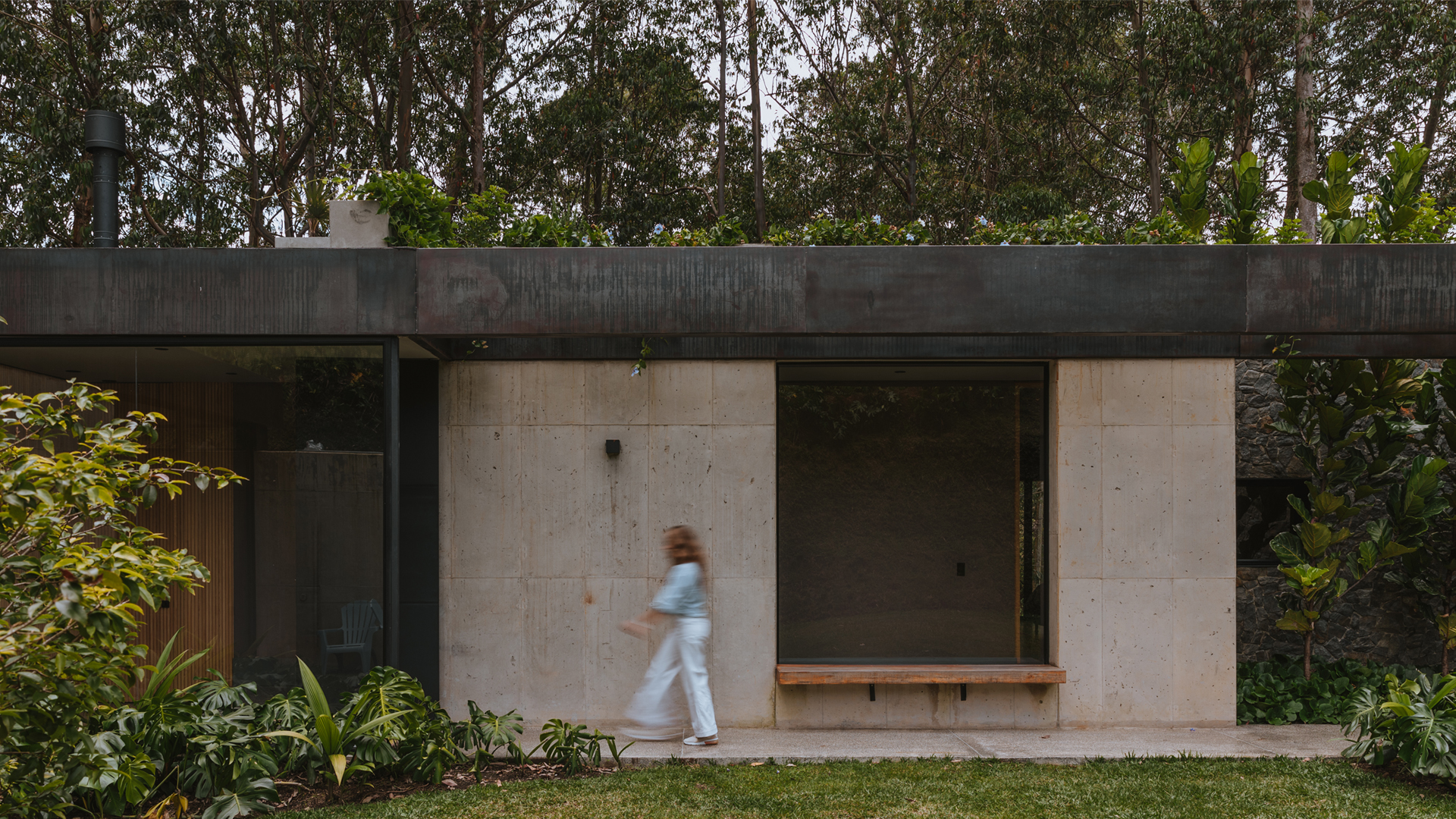 CASA DEL BOSQUE